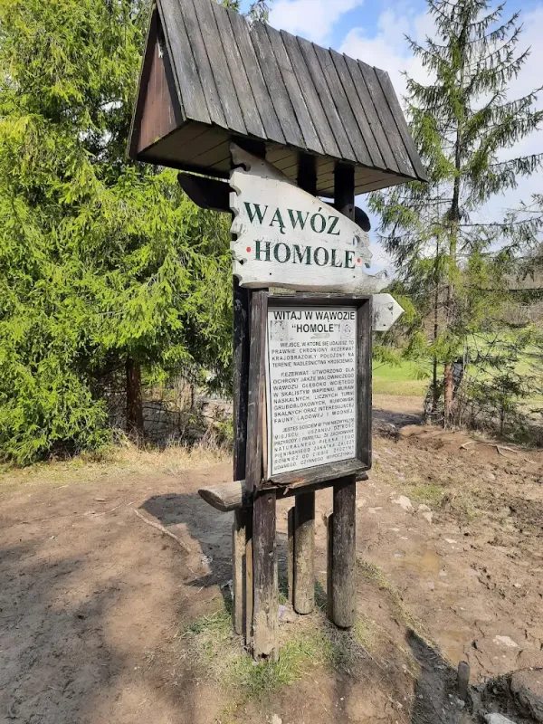 Wąwóz Homole